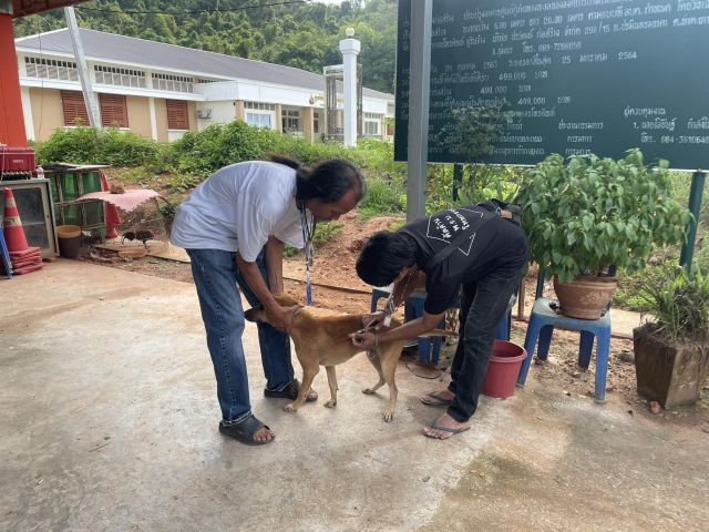 โครงการควบคุมและป้องกันโรคพิษสุนัขบ้า 65